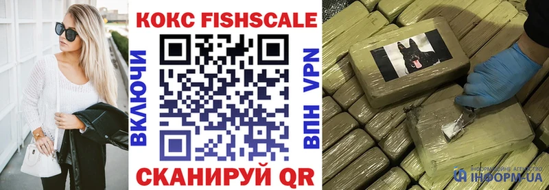 как найти наркотики  Мамоново  COCAIN Fish Scale 