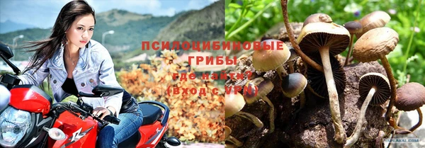 дмт Алексеевка