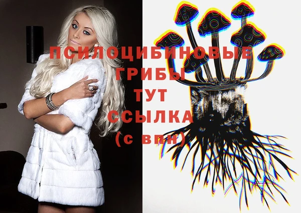 амф Абинск
